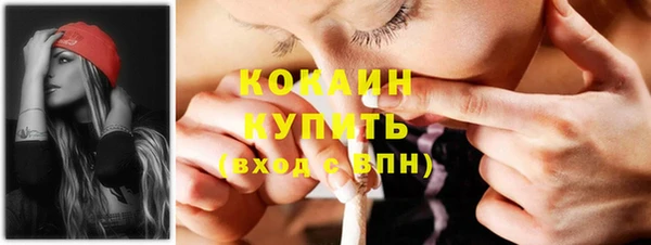 мяу мяу мука Лабытнанги