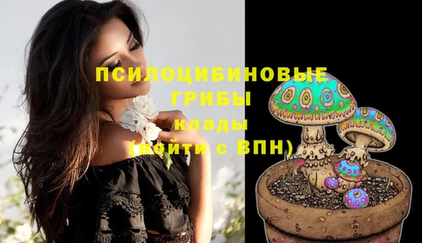 экстази Лиски