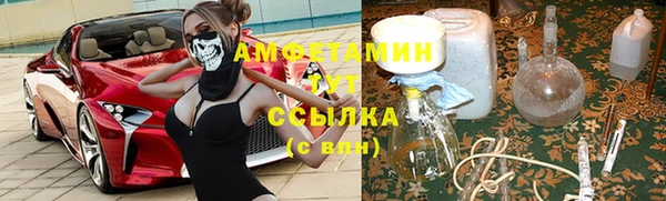 Альфа ПВП Лагань