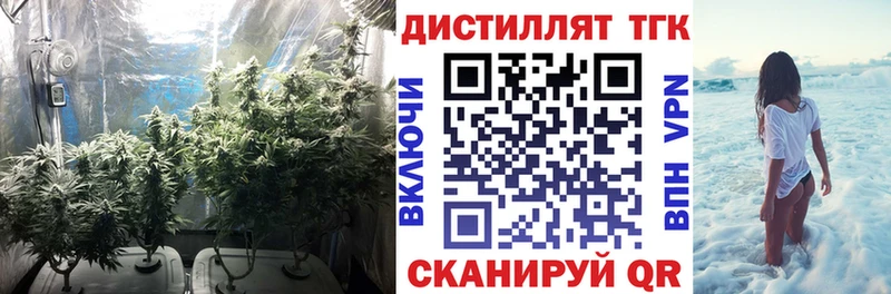 Дистиллят ТГК вейп с тгк  Купить где  Торжок 