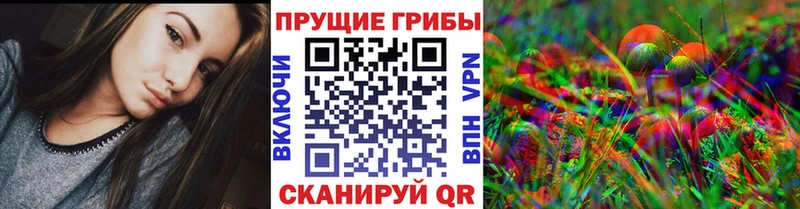 Галлюциногенные грибы Cubensis  Купить закладки  Торжок 